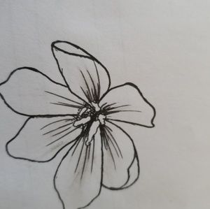 Meet your Posher, Tanya